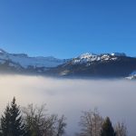 Depuis nos fenêtres