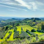 Splendeur du terroir toscan