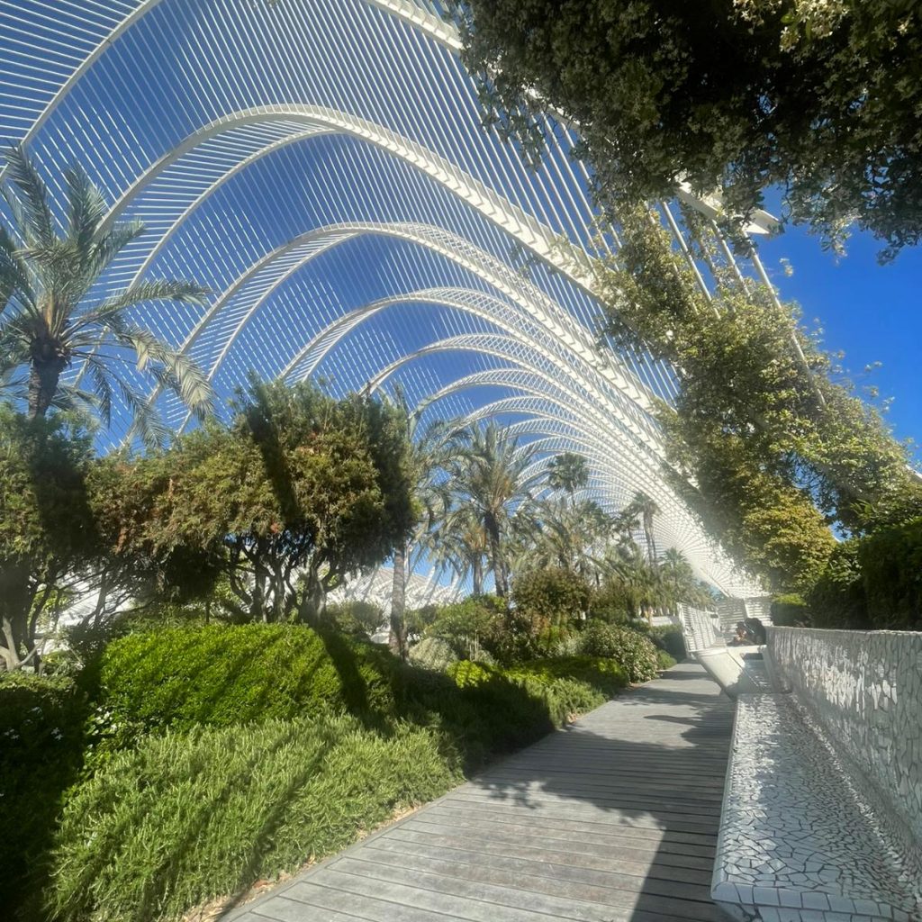 Valencia2026 Jour301